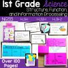 1st Grade Structure, Function, and Information Processing Worksheets ...