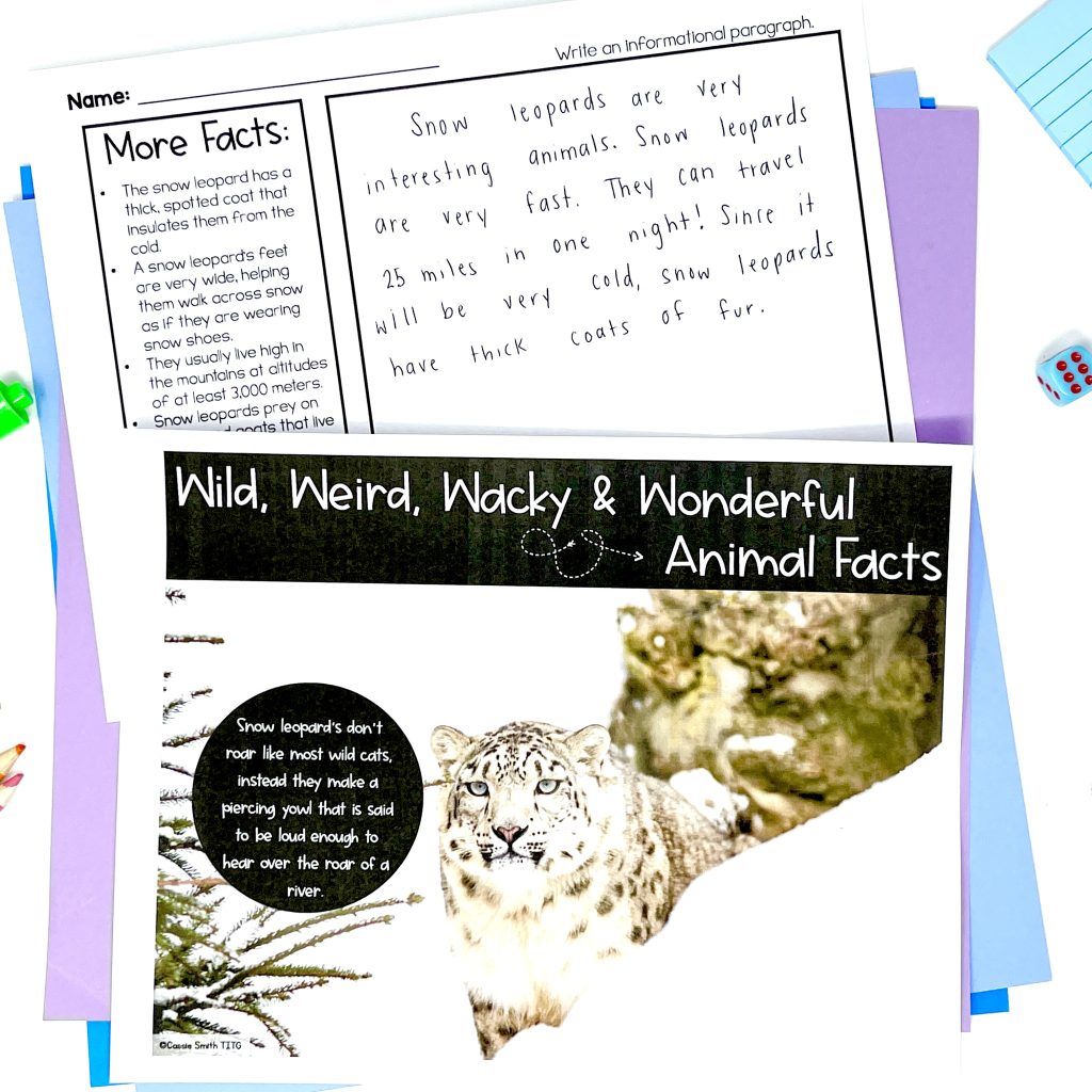 snow leopard animal facts and information paragraph for morning work